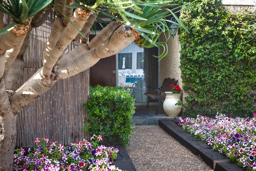The Seasons -studio & Netanya
